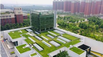 與樣板同行丨LG中央空調“碰撞”中國“魯班獎