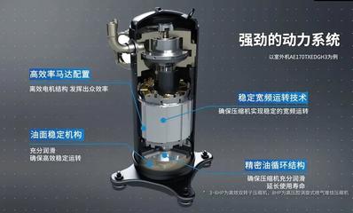 倒春寒來襲,1個妙招照顧好6個寒氣入口